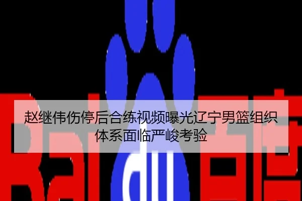赵继伟伤停后合练视频曝光辽宁男篮组织体系面临严峻考验