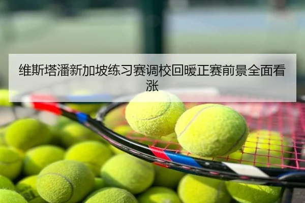 维斯塔潘新加坡练习赛调校回暖正赛前景全面看涨
